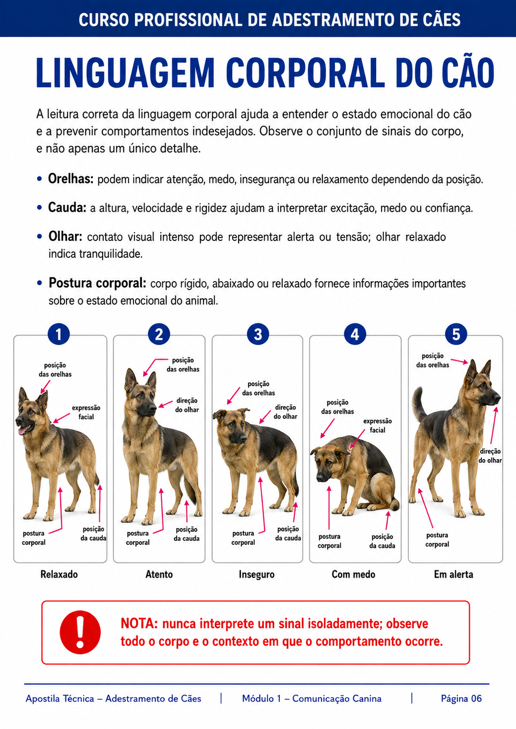 Material de apoio do curso Cão Educado em Casa