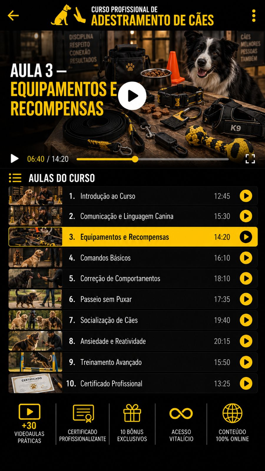 Tela das vídeo aulas do curso
