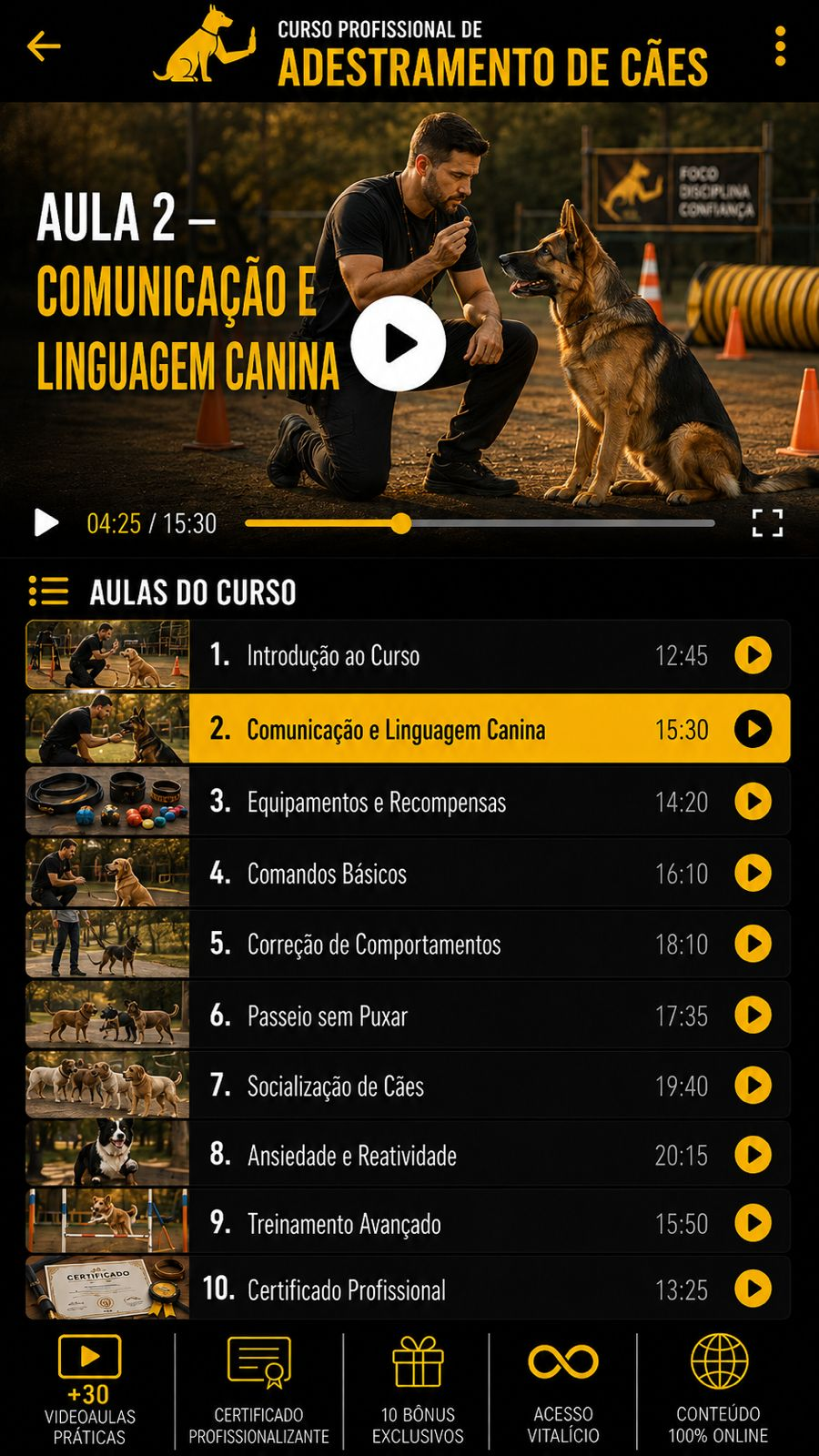 Tela das vídeo aulas do curso