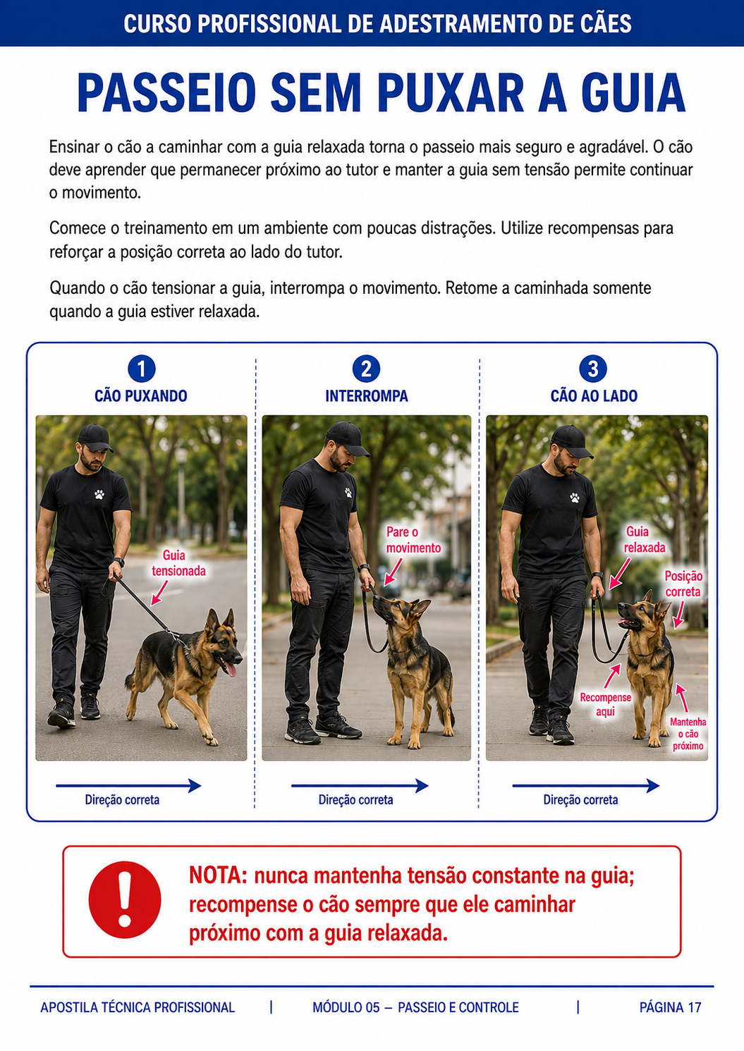 Material de apoio do curso Cão Educado em Casa