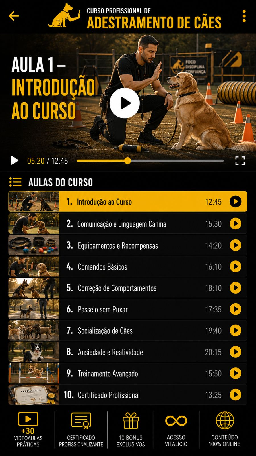 Tela das vídeo aulas do curso