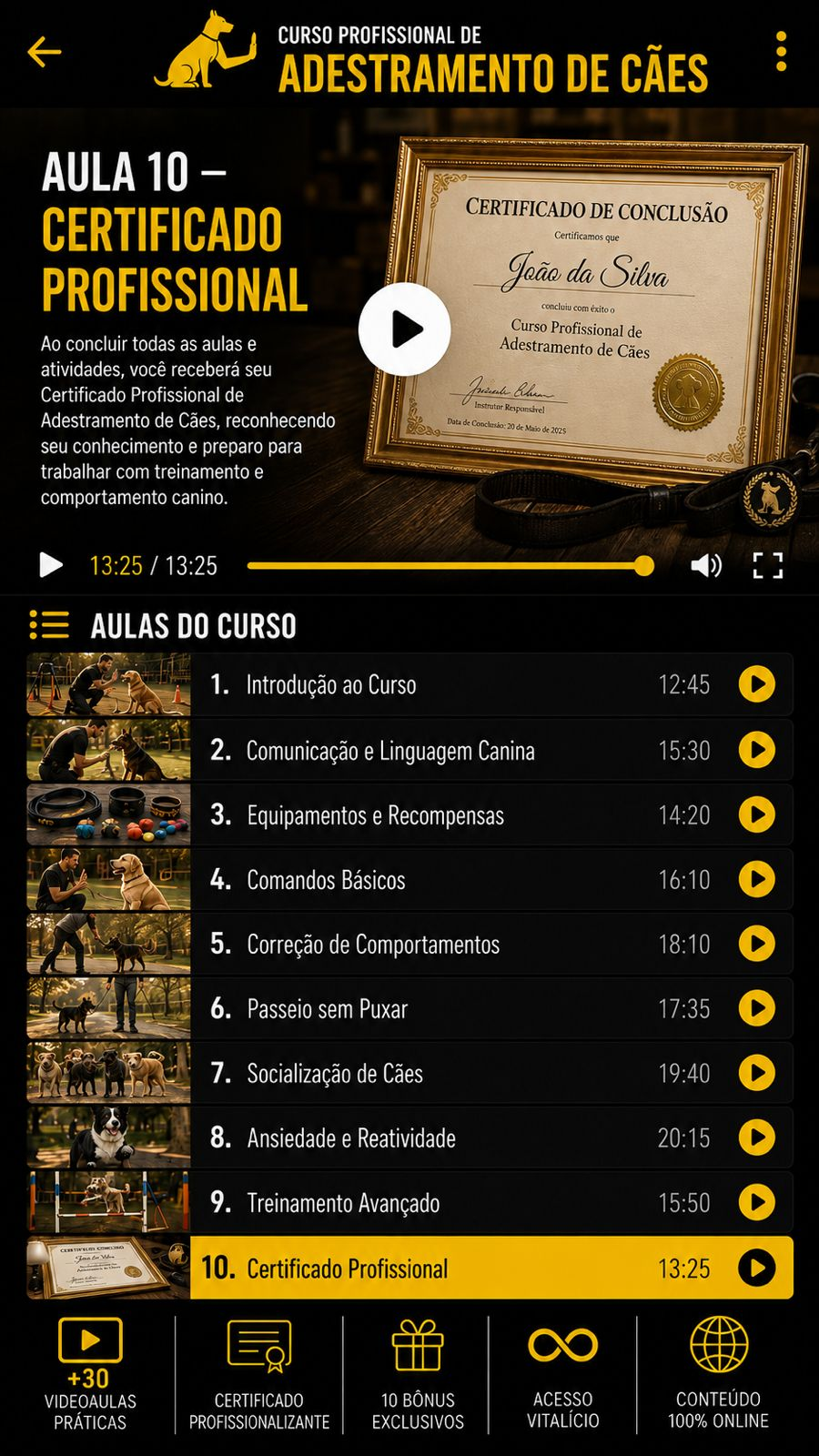 Tela das vídeo aulas do curso