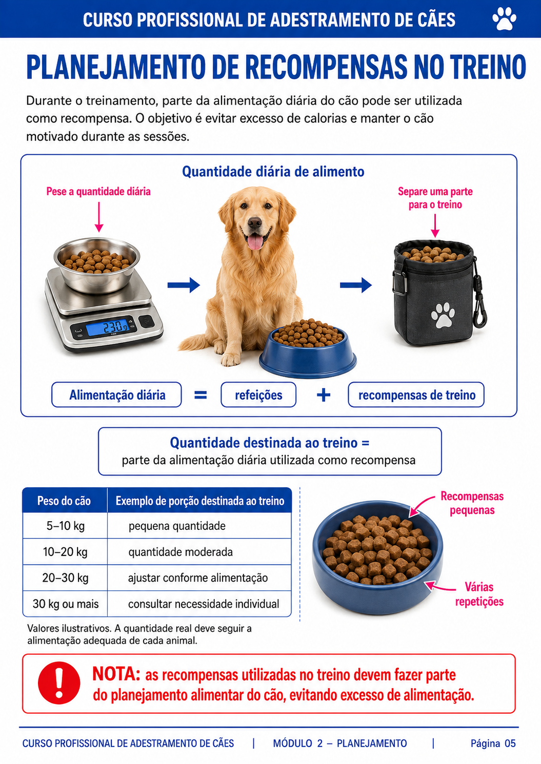 Material de apoio do curso Cão Educado em Casa