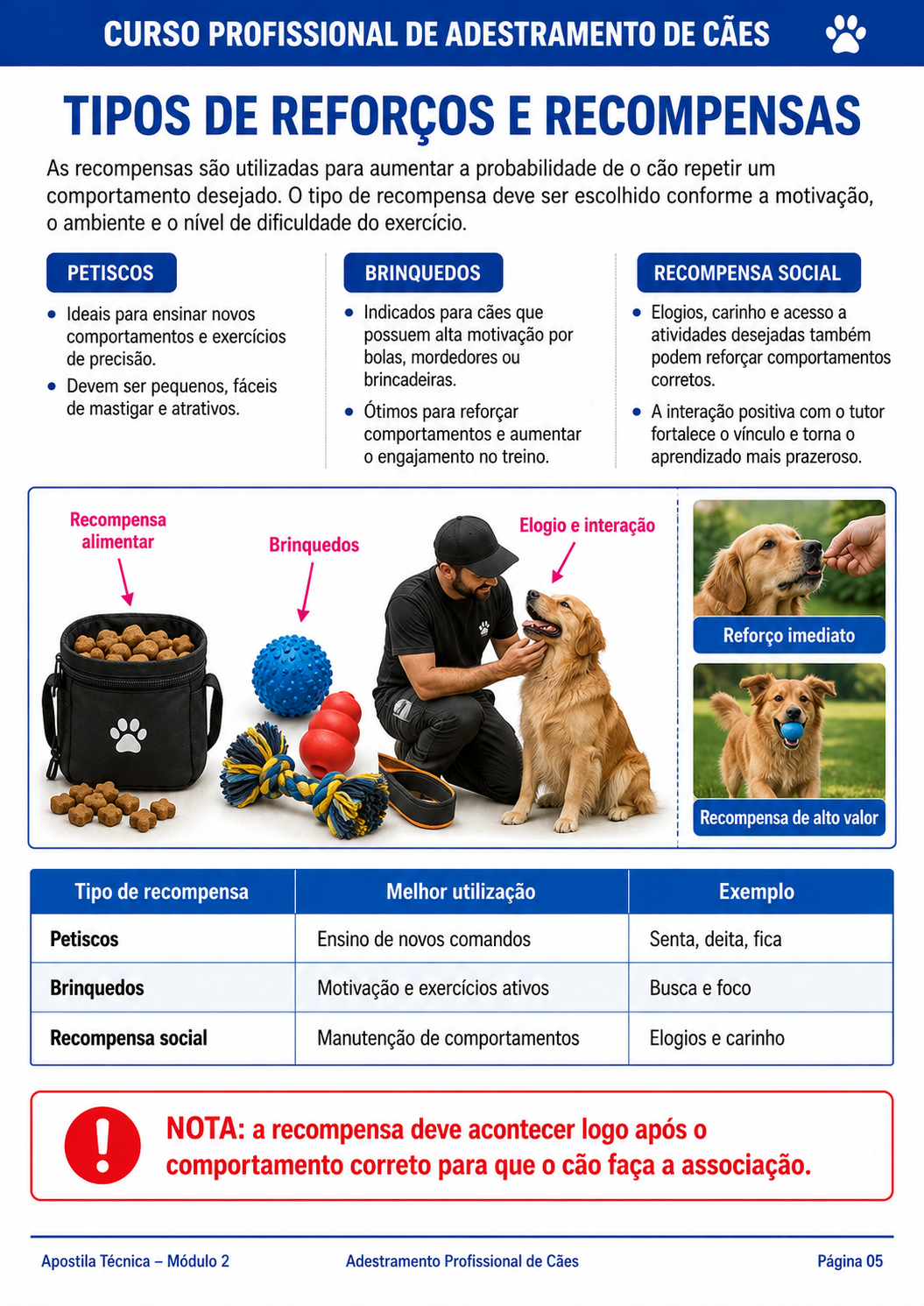 Material de apoio do curso Cão Educado em Casa